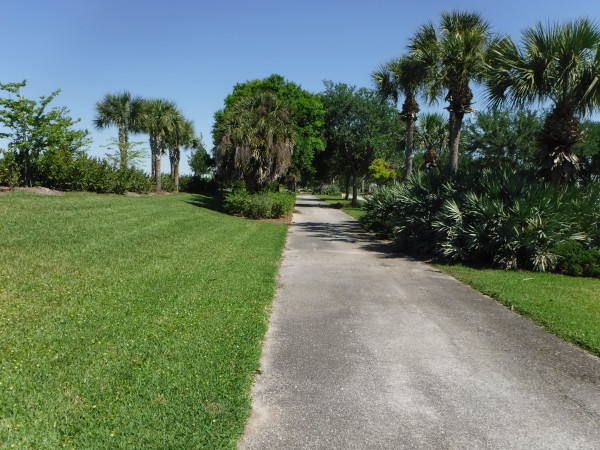 La v�g�tation ici est plus �touristique�.