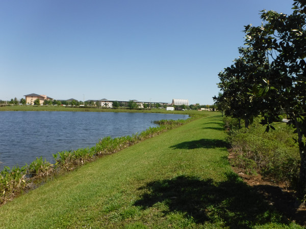 � droite au loin, on voit l'�glise. � gauche et plus proche, certains b�timents de l'universit�.