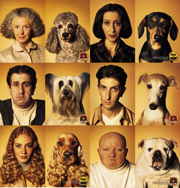 Chiens qui ressemblent � leurs propri�taires.