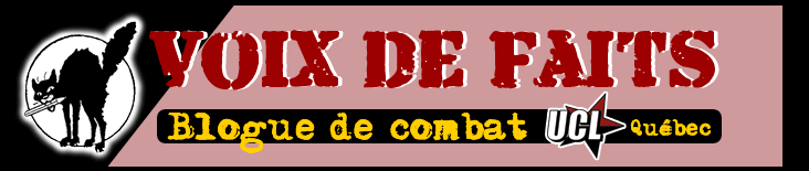 Logo du blog Voix de faits