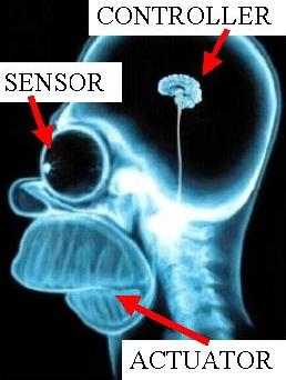 Simple sensor-controller-actuator loop.