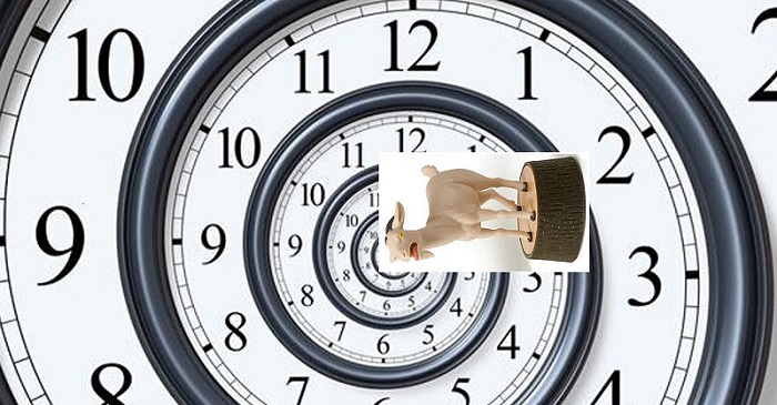 Une Ch�vre de S�curit� pour vous faire voyager dans le temps!