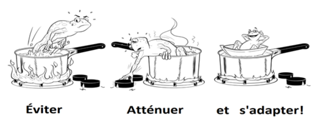Grenouille dans l'eau bouillante: �viter - Att�nuer - Adapter.