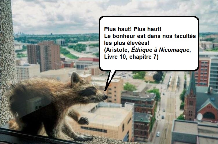 Plus haut! Plus haut! Le bonheur est dans nos facult�s plus �lev�es! (Aristote, �thique � Nicomaque, Livre 10, Chapitre 7).