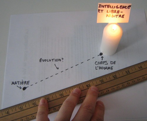 L'intelligence et le libre-arbitre sont-ils dans la m�me �dimension� que la mati�re?