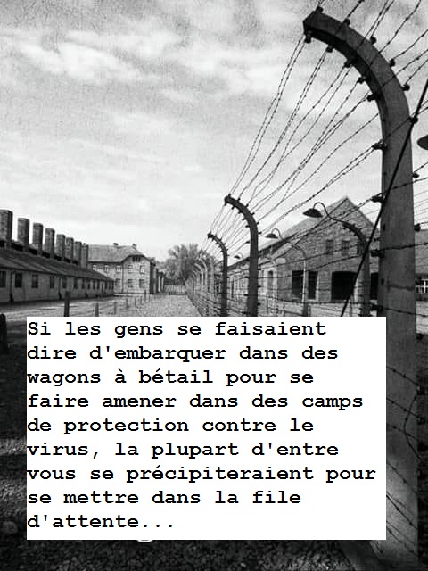 Si les gens se faisaient dire d'embarquer dans des wagons � b�tail pour se faire amener dans des camps de protection contre le virus, la plupart d'entre vous se pr�cipiteraient pour se mettre dans la file d'attente...